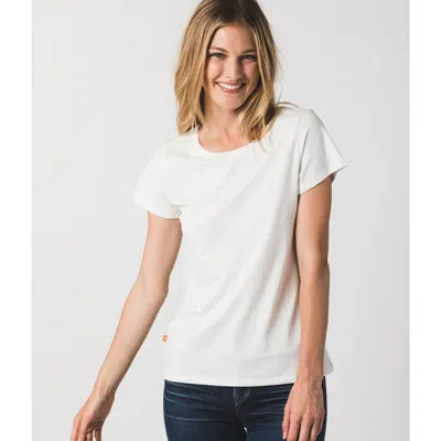 Known Supply Fitted Tee In Multi
