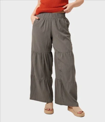 Known Supply Malibu Pant In Gray