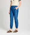 Known Supply Phoebe Pant In Chambray In Blue