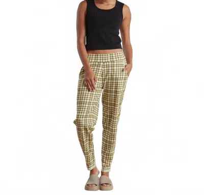 Known Supply Sequoia Pants In Olive Plaid In Black