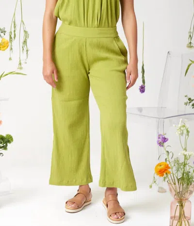 Known Supply Sterling Pants In Martini Olive In Multi