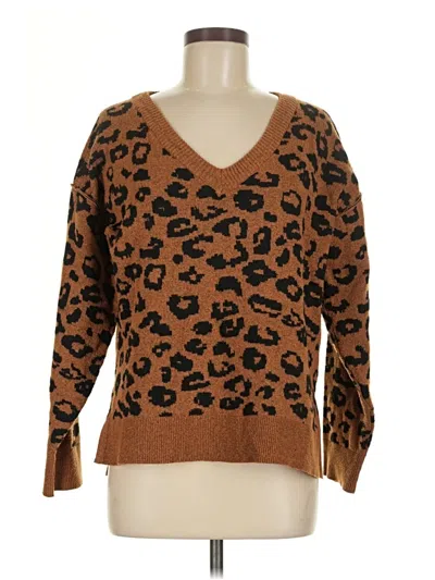 Pre-owned Knox Rose Pullover Sweater In Brown
