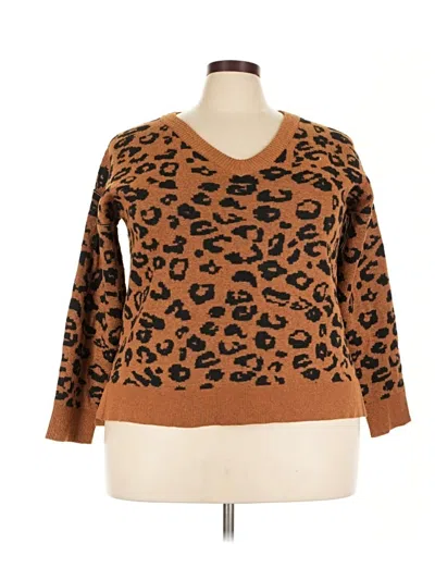 Pre-owned Knox Rose Pullover Sweater In Brown