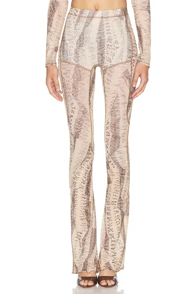 Knwls For Fwrd Halcyon Legging In Crushed Snakeskin