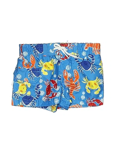 Pre-owned Koala Baby Babies' Board Shorts In Blue