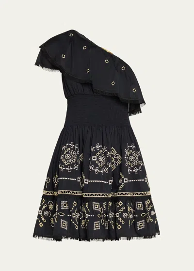 Kobi Halperin Brooklyn One-shoulder Embroidered Mini Dress In Black