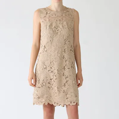 Kobi Halperin Finley Lace Mini Dress In Teak In Silver