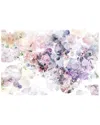 Komar Wish Wall Mural