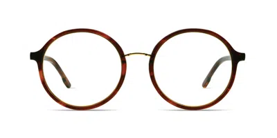Komono Alvie O3050 Women's Glasses Brown Size 53 - Free Lenses - Blue Light Block Available