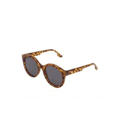 Komono Aquatic Sands Ellis Sunglasses In Brown