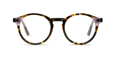 Komono Archie Slims O7476 Men's Glasses Tortoiseshell Size 45 - Free Lenses - Blue Light Block Available