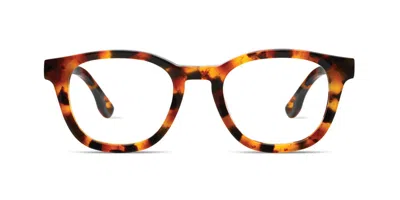 Komono Evan Slims O7228 Men's Glasses Tortoiseshell Size 45 - Free Lenses - Blue Light Block Available