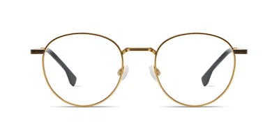 Komono Rio O7952 Men's Glasses Gold Size 49 - Free Lenses - Blue Light Block Available