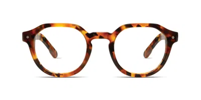 Komono Sloan O1027 Men's Glasses Tortoiseshell Size 50 - Free Lenses - Blue Light Block Available