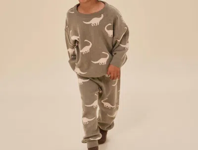 Konges Sløjd Kids' Lapis Knit Pants In Dino In Brown