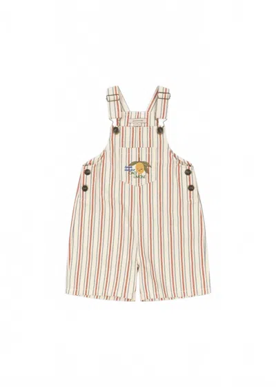 Konges Sløjd Kids' Unisex Frankie Overalls In Stripe Winds In Multi