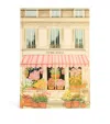 Konges Slojd House Of Flowers Painting Book In Multi