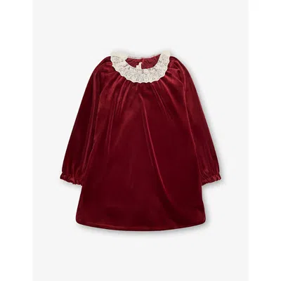 Konges Slojd Kids' Red Dahlia Venola Lace-collar Stretch-velvet Dress 18 Months - 10