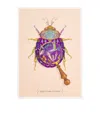 Konstantinos Chalaris Curious Collector Beetle & Magnifying Glass Print