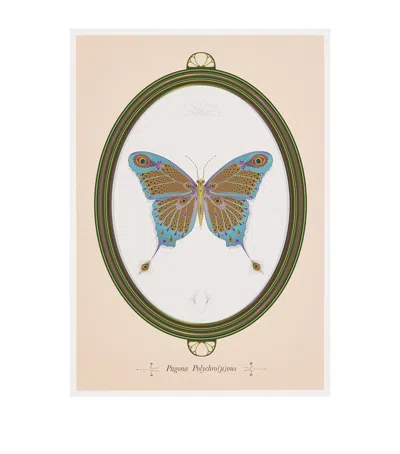 Konstantinos Chalaris Curious Collector Butterfly Print
