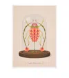 Konstantinos Chalaris Curious Collector Insect Cloche Print