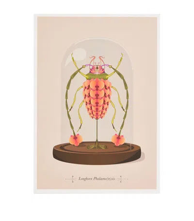 Konstantinos Chalaris Curious Collector Insect Cloche Print
