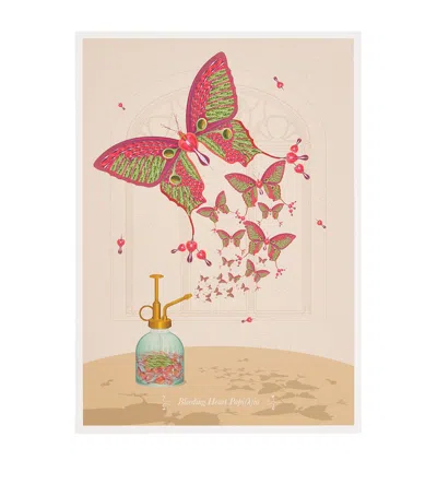Konstantinos Chalaris Curious Collector Spray Butterflies Print