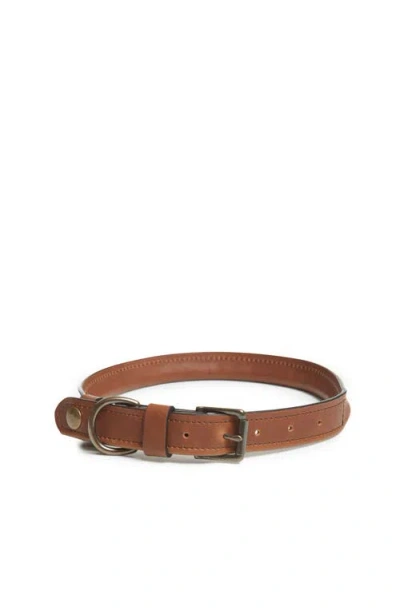 Korchmar Gordon Leather Dog Collar In Espresso