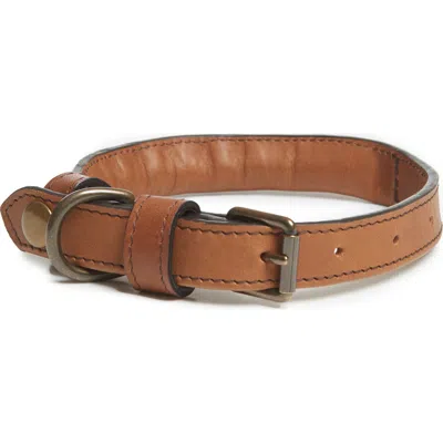 Korchmar Gordon Leather Dog Collar In Espresso
