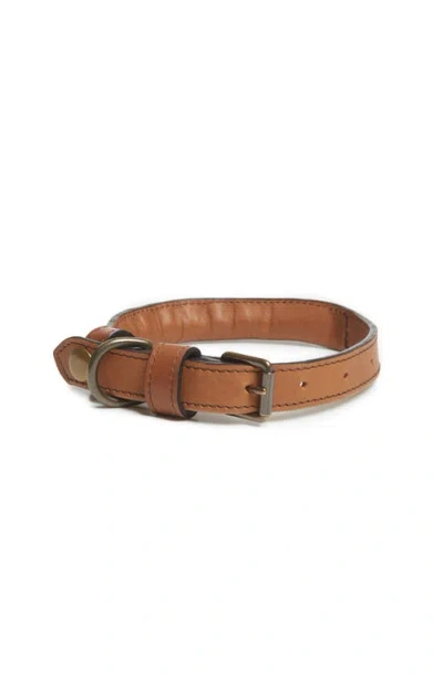 Korchmar Gordon Leather Dog Collar In Espresso