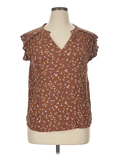 Pre-owned Kori America Short Sleeve Blouse In Brown