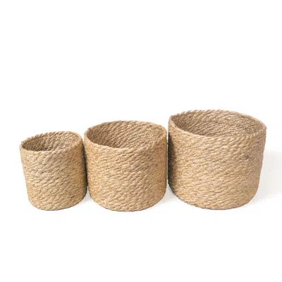 Korissa Neutrals Kata Bin - Set Of 3