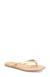 Korks Winnie Flip Flop In Gold