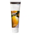 Korres Elasti-smooth Body Butter In Basil Lemon
