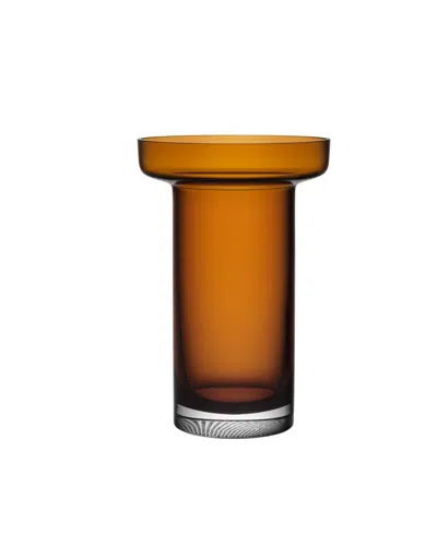 Kosta Boda 9" Limelight Tall Crystal Glass Vase In Amber