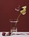 Kosta Boda Limelight Tall Vase In Pink