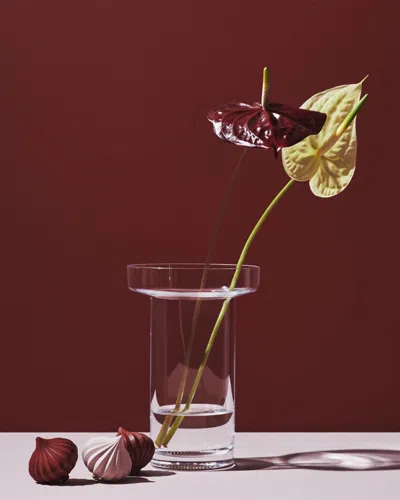 Kosta Boda Limelight Tall Vase In Pink