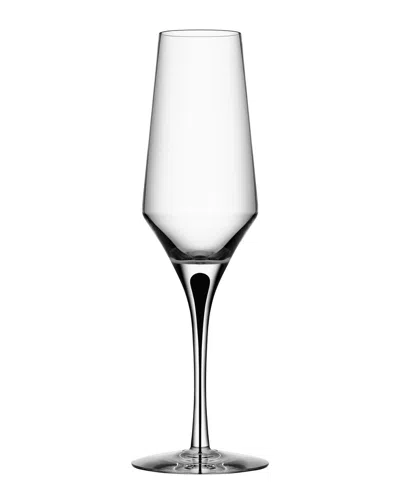 Kosta Boda Set Of 2 Metropol Champagne In Transparent