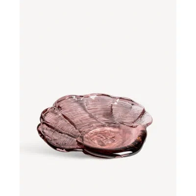 KOSTA BODA VENUS CLAM