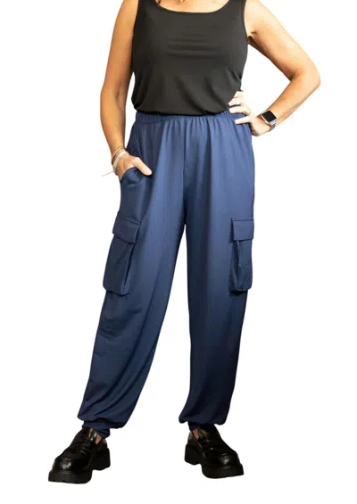 Kozan Plus Duffy Pant In Navy In Blue