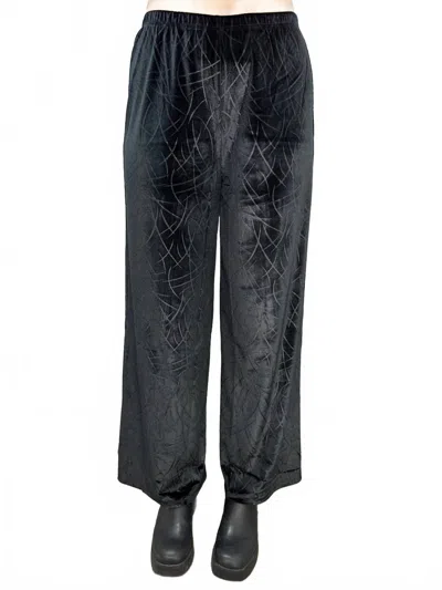 Kozan Velvet Amarillo Pant In Black In Blue