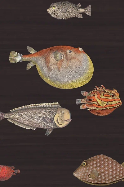 Kravet Acquario Ocean Fish Wallpaper