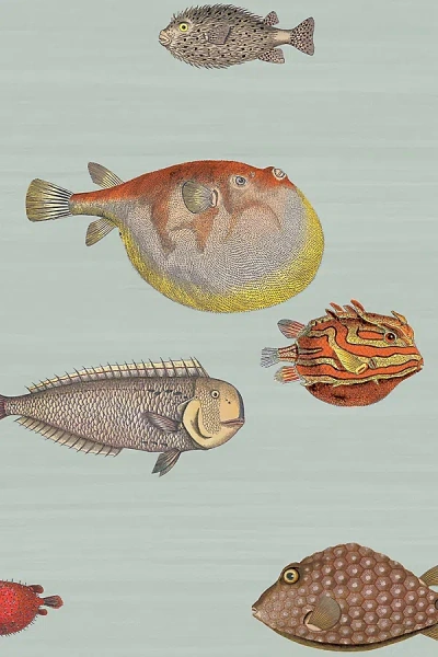 Kravet Acquario Ocean Fish Wallpaper