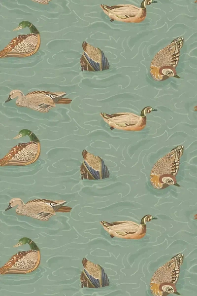 Kravet Duck Pond Wallpaper