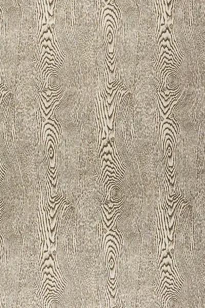 Kravet Wood Bark Nature Wallpaper