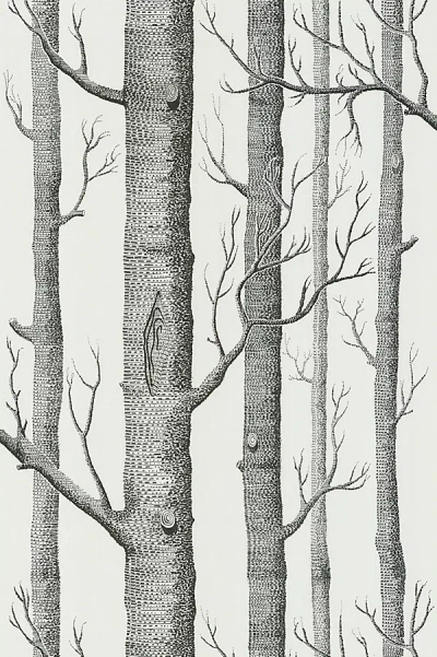 Kravet Woods Wallpaper