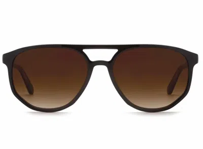 Krewe Brando Sunglasses In Black + Black Tea In Multi