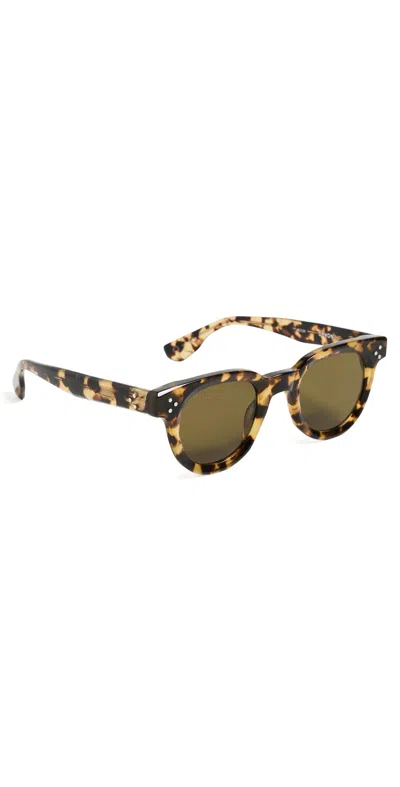 Krewe Devon Sunglasses Nikko Tortoise