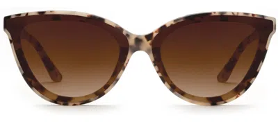 Krewe Monroe Nylon Cat Eye Sunglasses In Brown