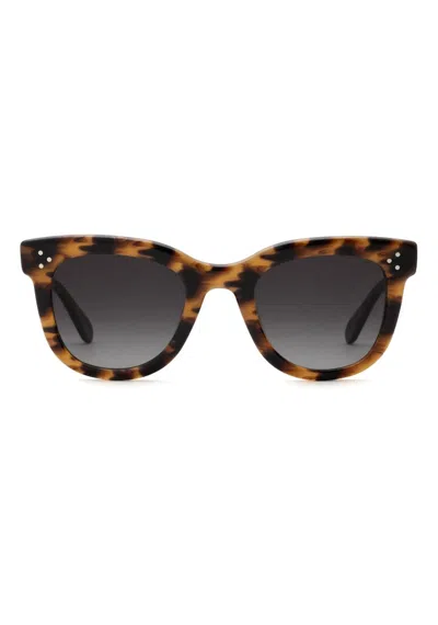 Krewe Women's Jena Sunglasses In Venezia In Brown